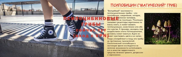 первитин Белокуриха