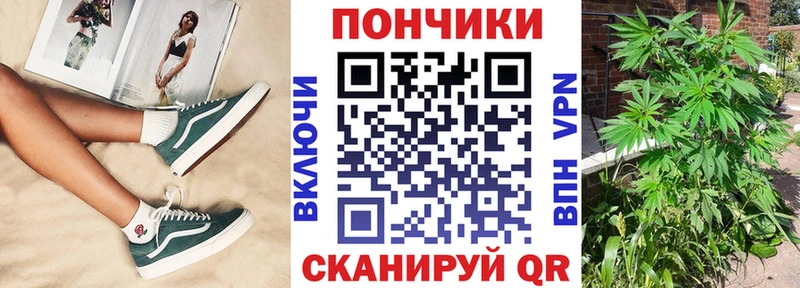 магазин продажи наркотиков  Покровск  Бошки Шишки Bruce Banner 